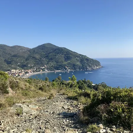 Il Veliero